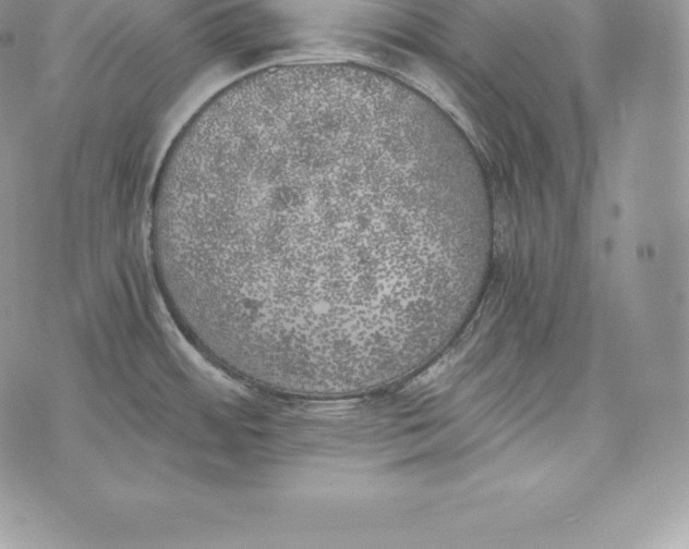 X0000072931484200608111523