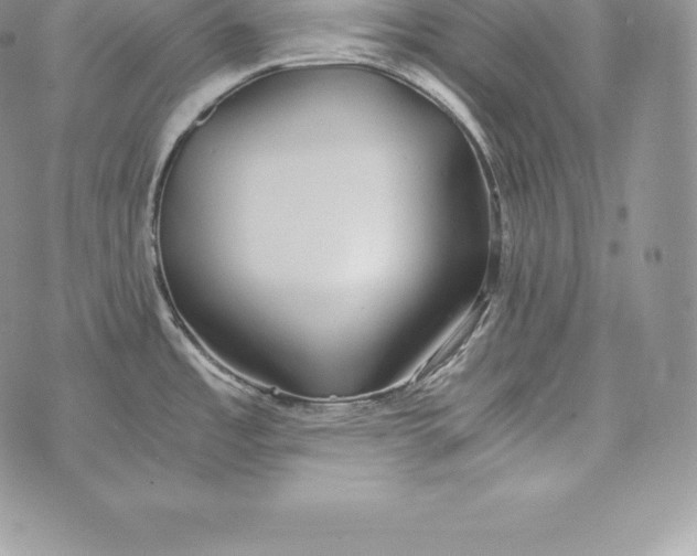 X0000072931485200608111523