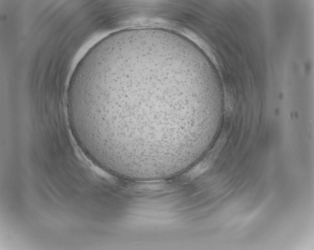 X0000072931486200608111523