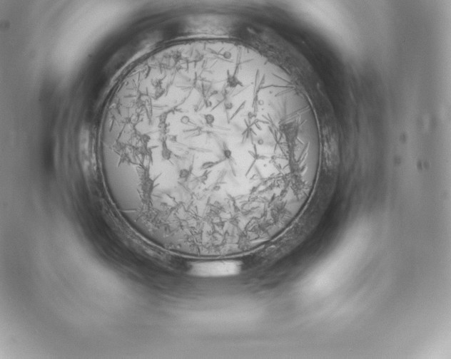 X0000072931487200608111523