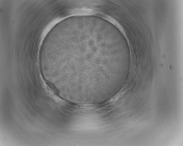 X0000072931488200608111523