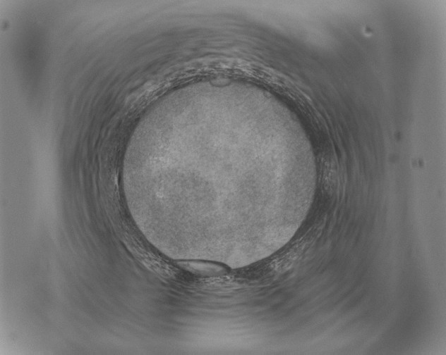 X0000072931489200608111522