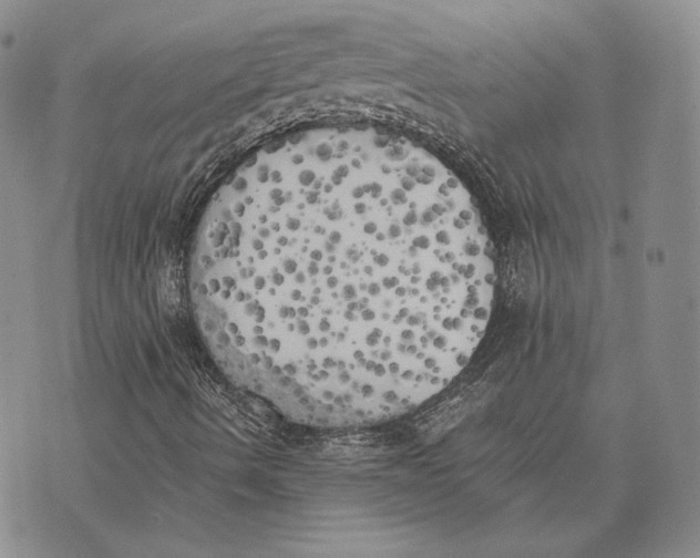 X0000072931490200608111522