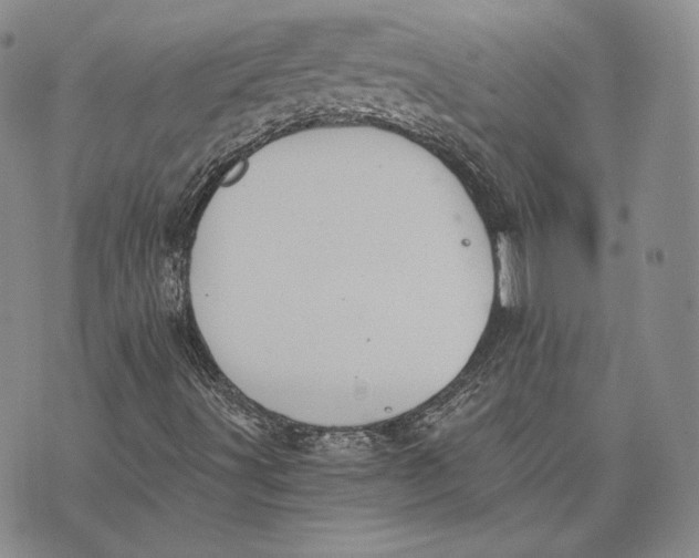 X0000072931491200608111522