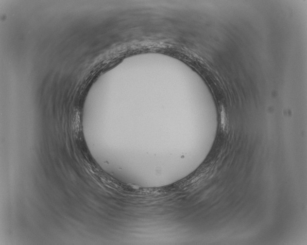 X0000072931492200608111522