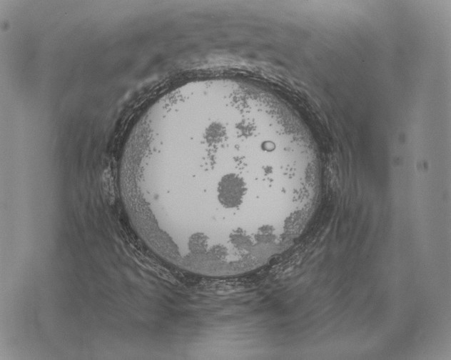 X0000072931493200608111522