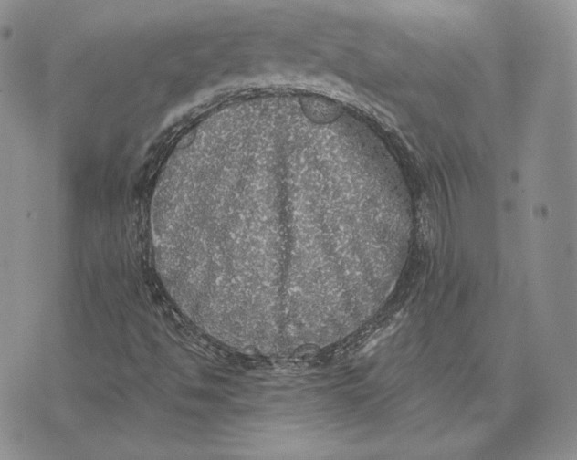 X0000072931494200608111522