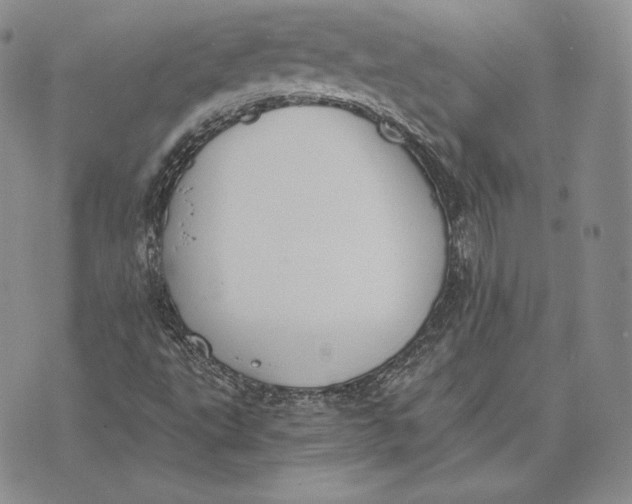 X0000072931495200608111522