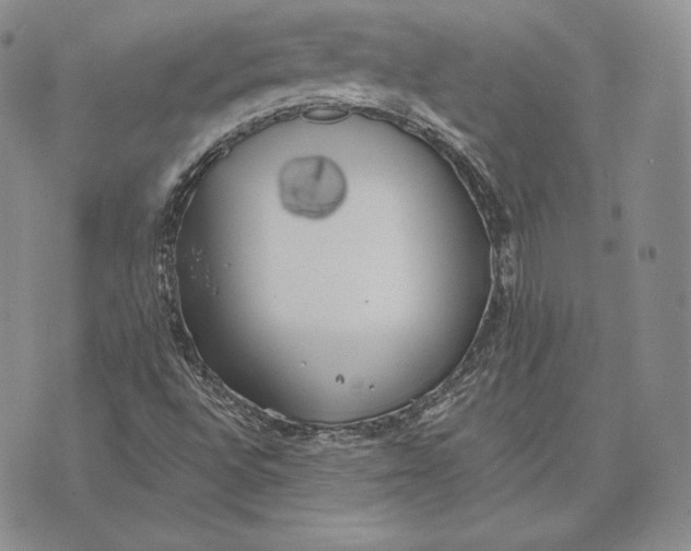 X0000072931496200608111522