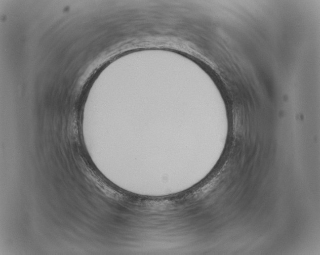 X0000072931498200608111522