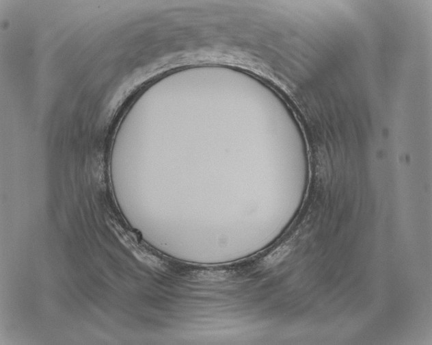 X0000072931499200608111522