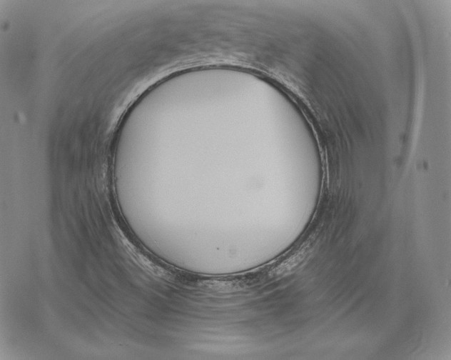 X0000072931500200608111522