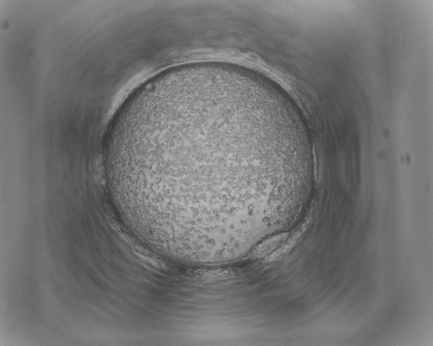 X0000072931501200608111522