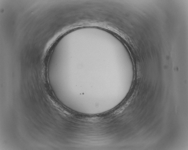 X0000072931502200608111522