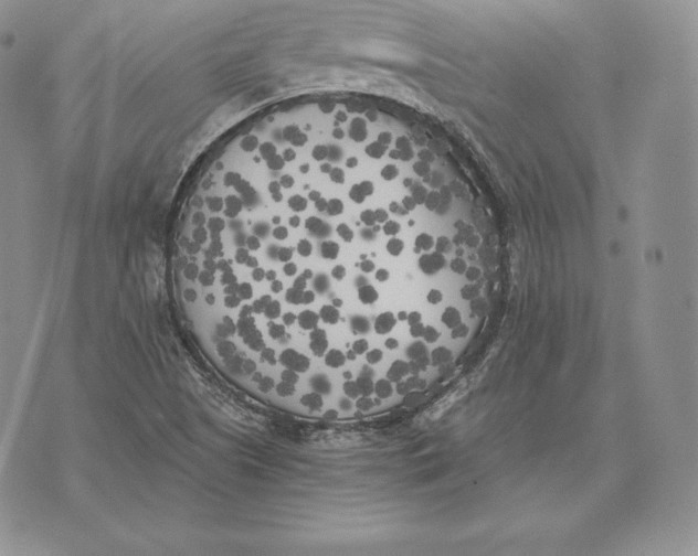 X0000072931505200608111522