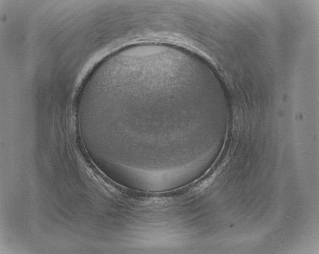 X0000072931506200608111522