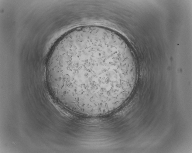 X0000072931507200608111522