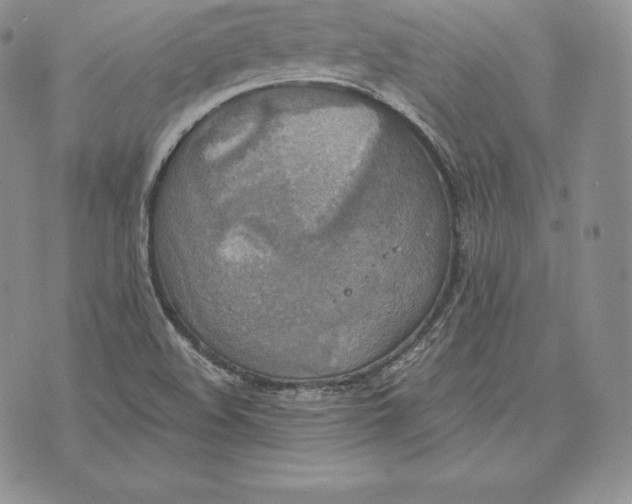 X0000072931508200608111522