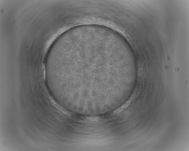 X0000072931509200608111522