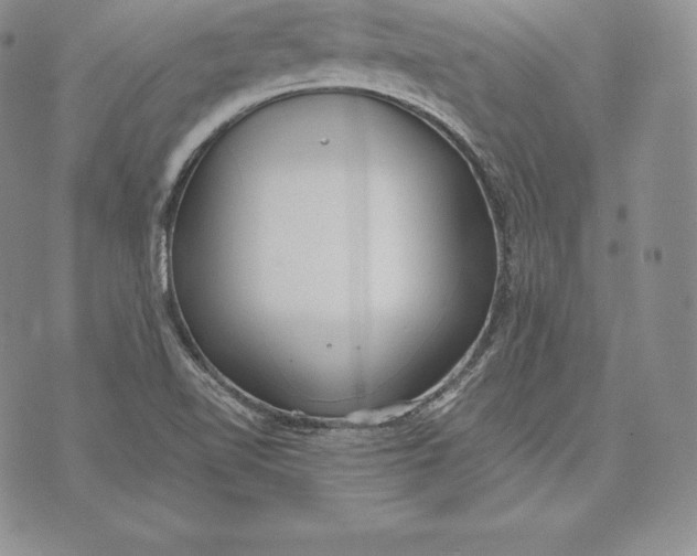 X0000072931510200608111522