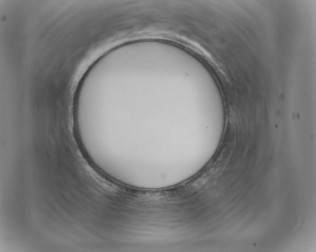 X0000072931512200608111522