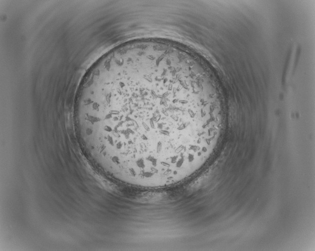 X0000072931513200608111522