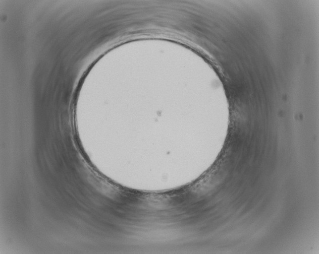 X0000072931514200608111522