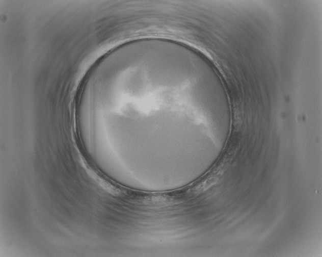 X0000072931515200608111522