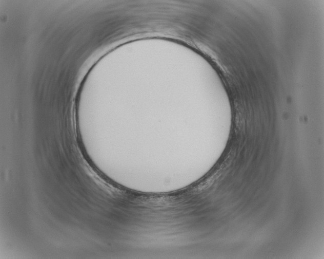 X0000072931516200608111522