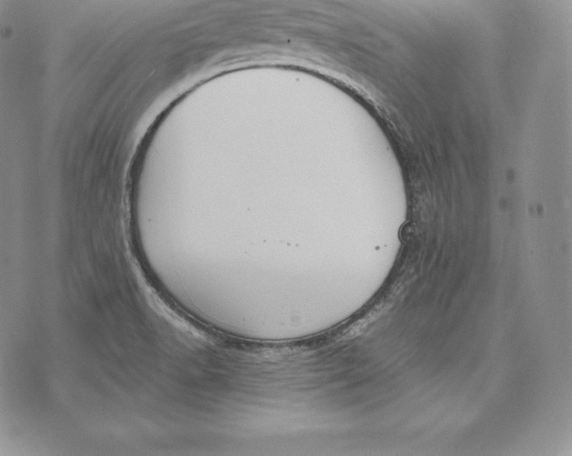 X0000072931518200608111522