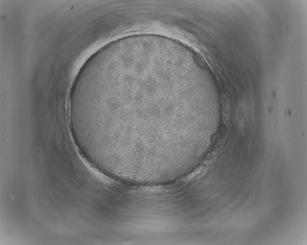 X0000072931519200608111522