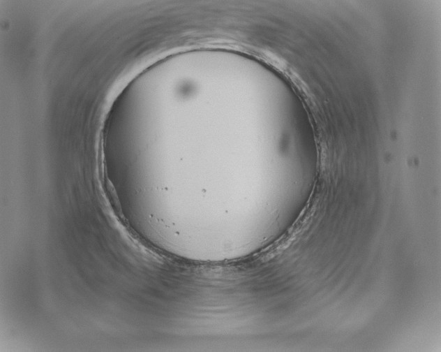 X0000072931520200608111522