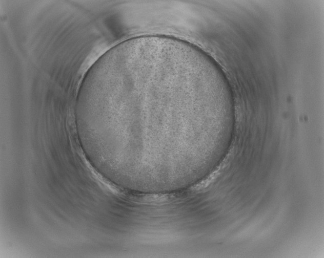 X0000072931521200608111522