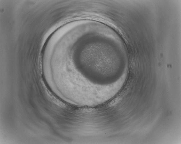 X0000072931522200608111522