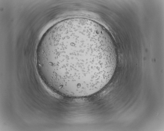 X0000072931523200608111522