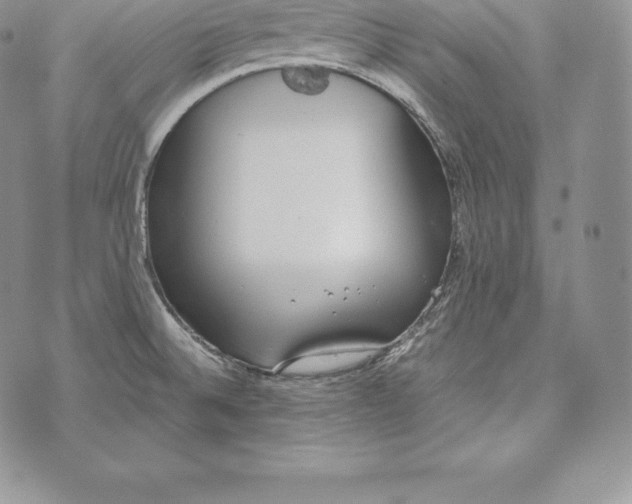 X0000072931524200608111522