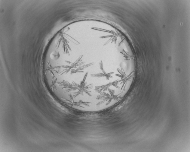 X0000072931525200608111522