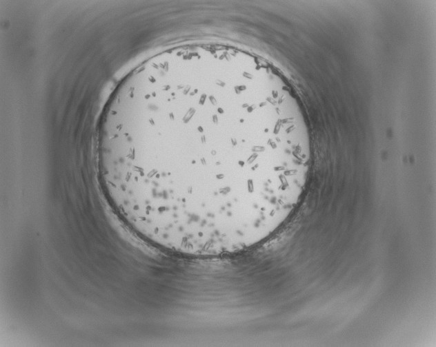 X0000072931526200608111522