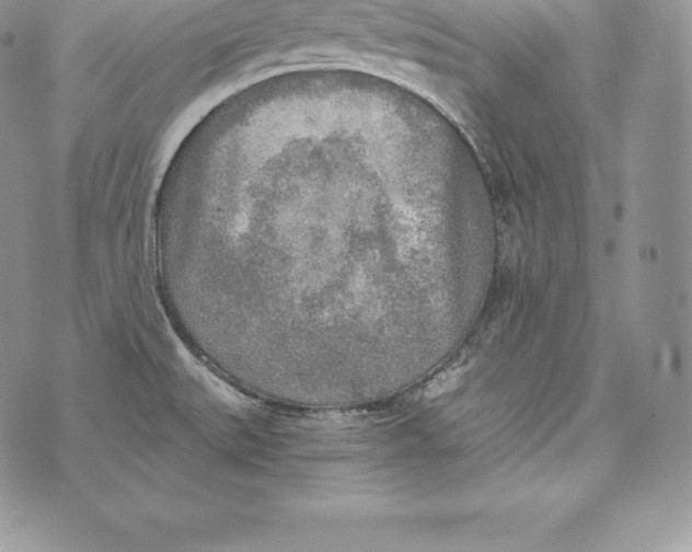 X0000072931527200608111522