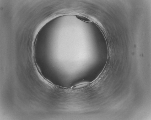 X0000072931528200608111522