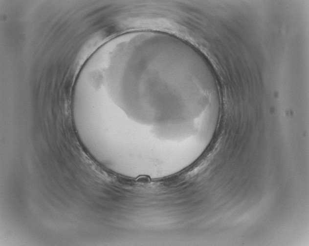 X0000072931529200608111522