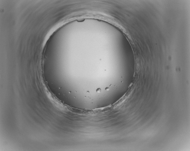 X0000072931530200608111522