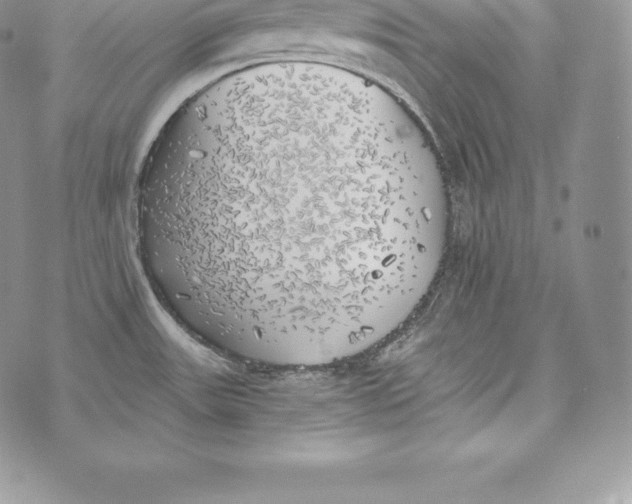 X0000072931531200608111523