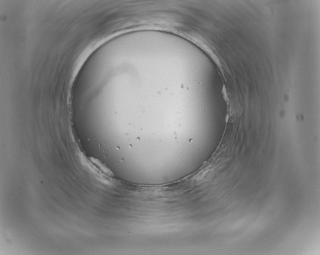 X0000072931532200608111523