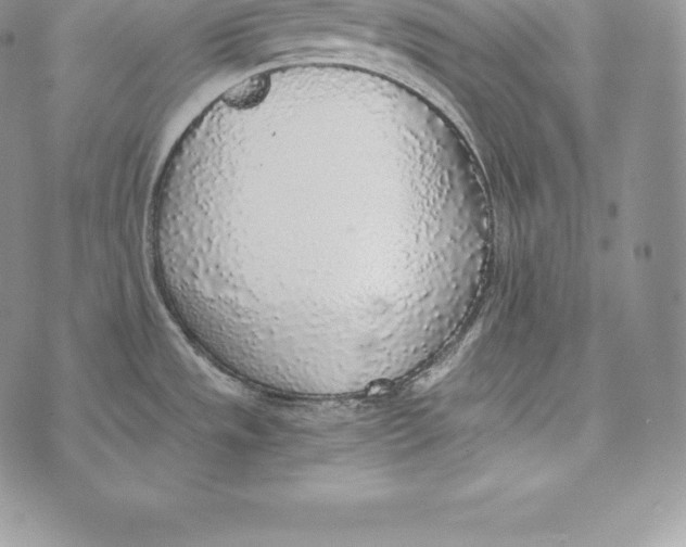 X0000072931533200608111523