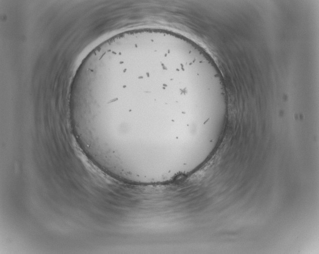 X0000072931534200608111523