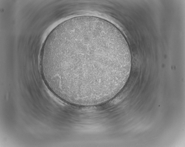 X0000072931535200608111523