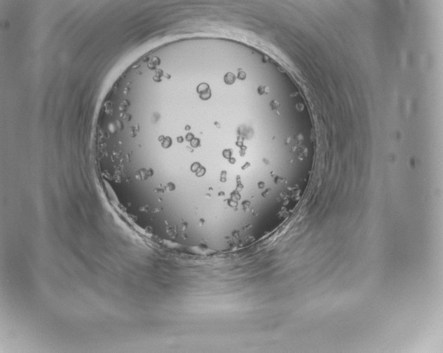 X0000072931536200608111523