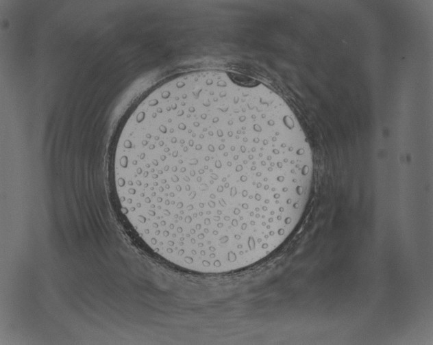 X0000072930006200608181327