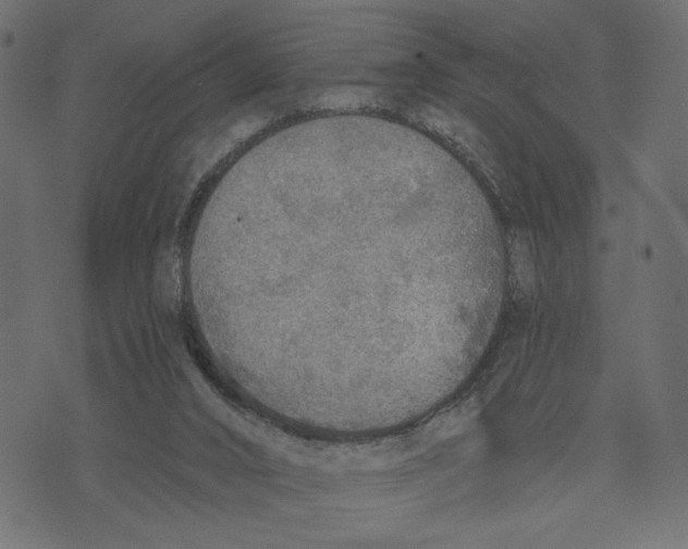 X0000072930016200608181327